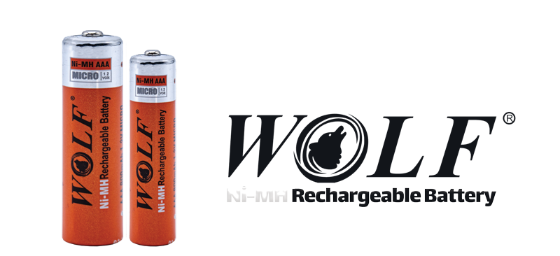 باتری شارژی